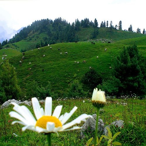 listing-details-carousel